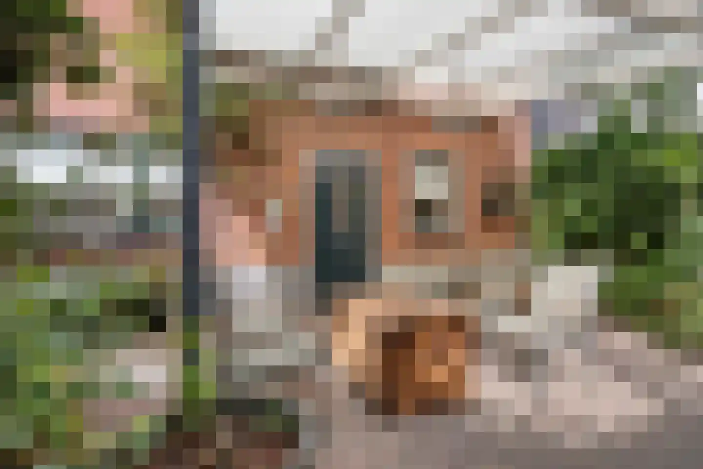Gronausestraat 235 Losser thumbnail 30