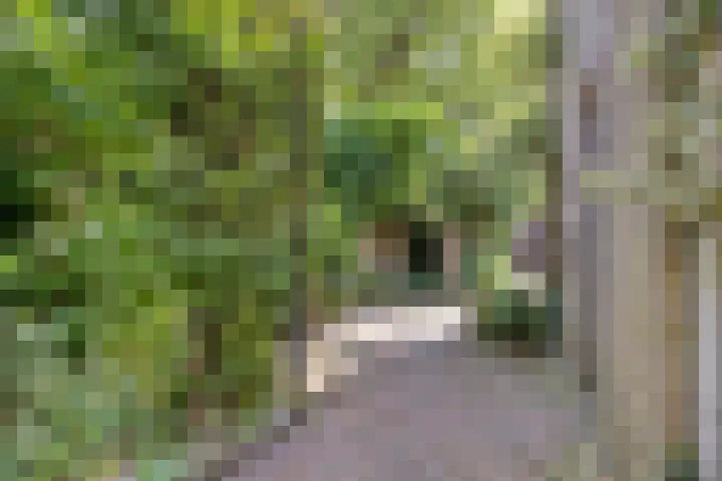 Gronausestraat 235 Losser thumbnail 32
