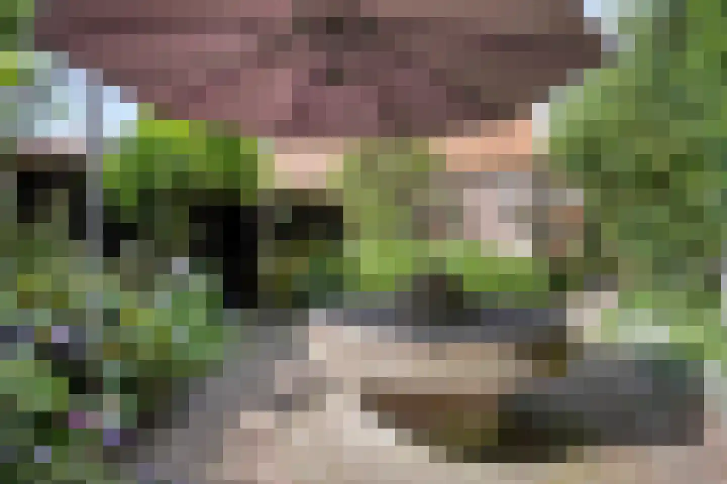 Gronausestraat 235 Losser thumbnail 34