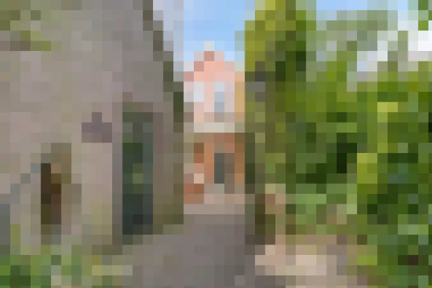 Gronausestraat 235 Losser thumbnail 35