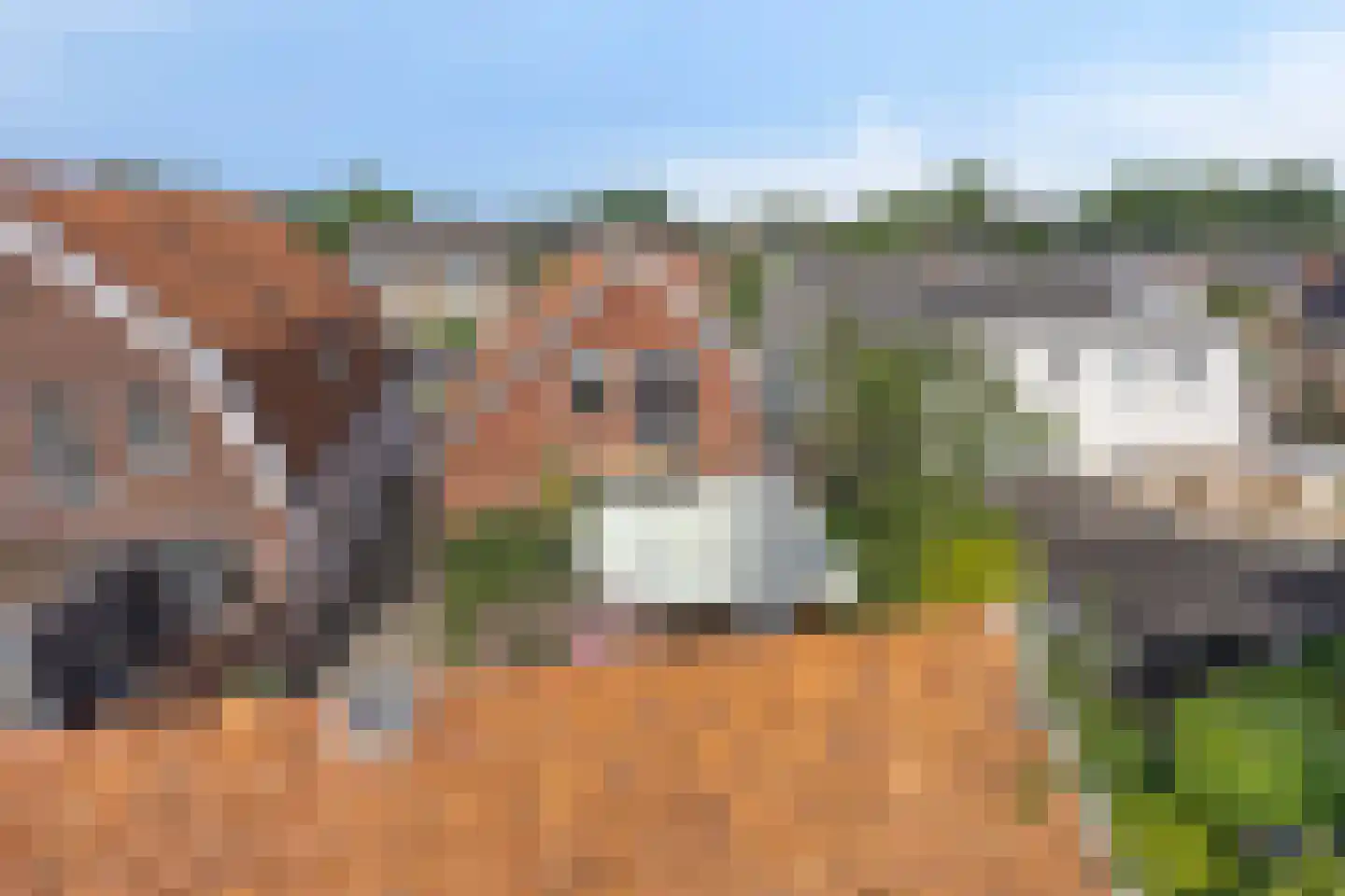 Gronausestraat 235 Losser thumbnail 36