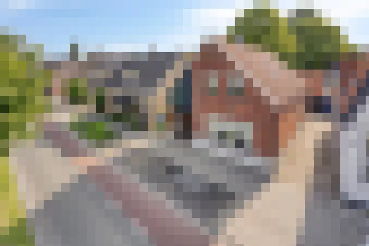 Gronausestraat 235 Losser thumbnail 4