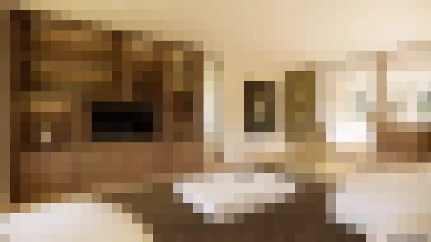 Gronausestraat 235 Losser thumbnail 46