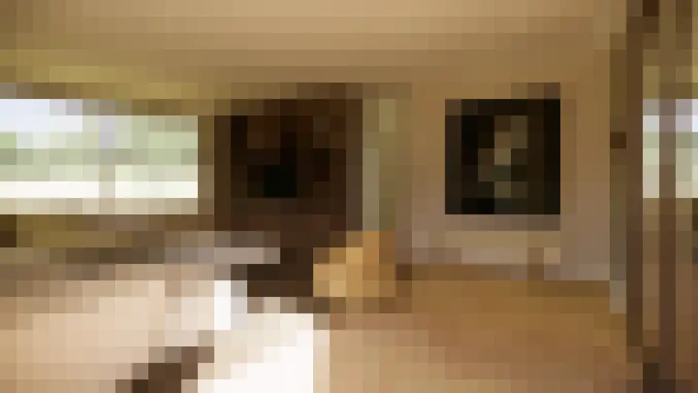 Gronausestraat 235 Losser thumbnail 47
