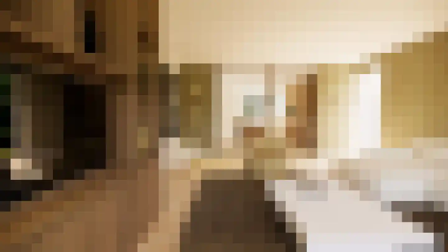 Gronausestraat 235 Losser thumbnail 50