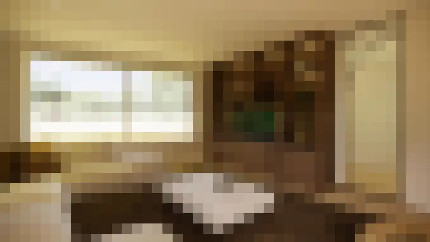 Gronausestraat 235 Losser thumbnail 51