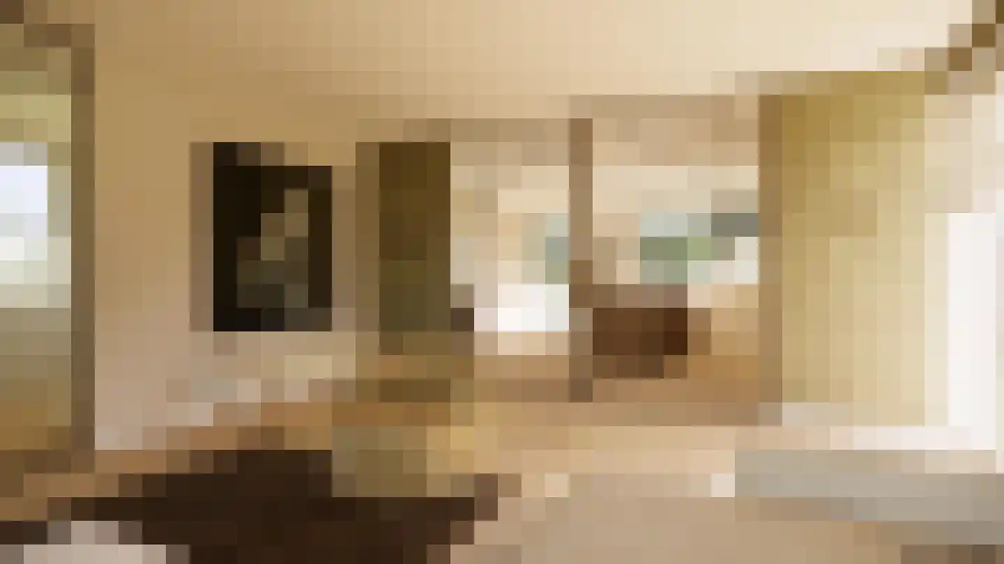 Gronausestraat 235 Losser thumbnail 53