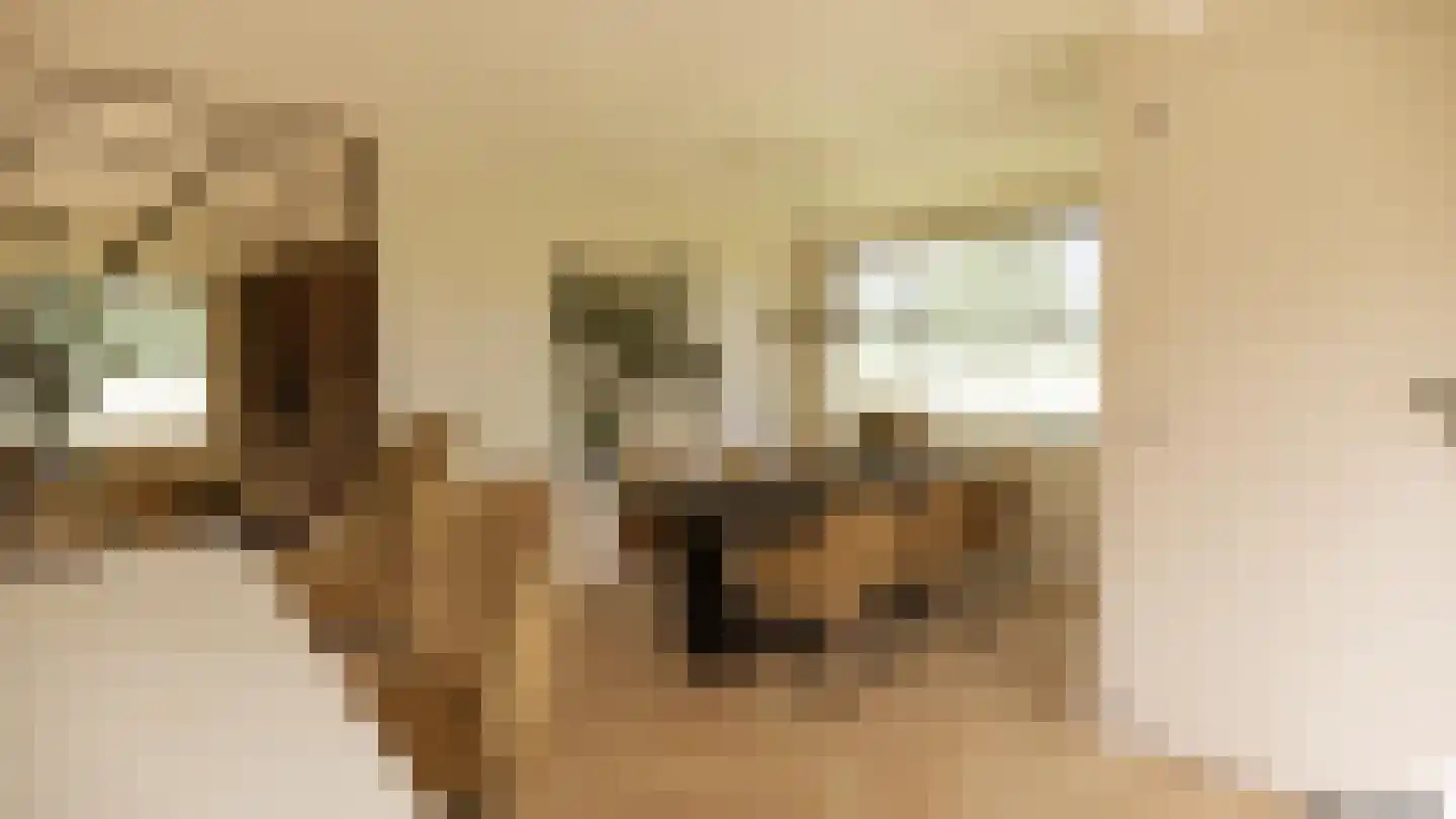 Gronausestraat 235 Losser thumbnail 55