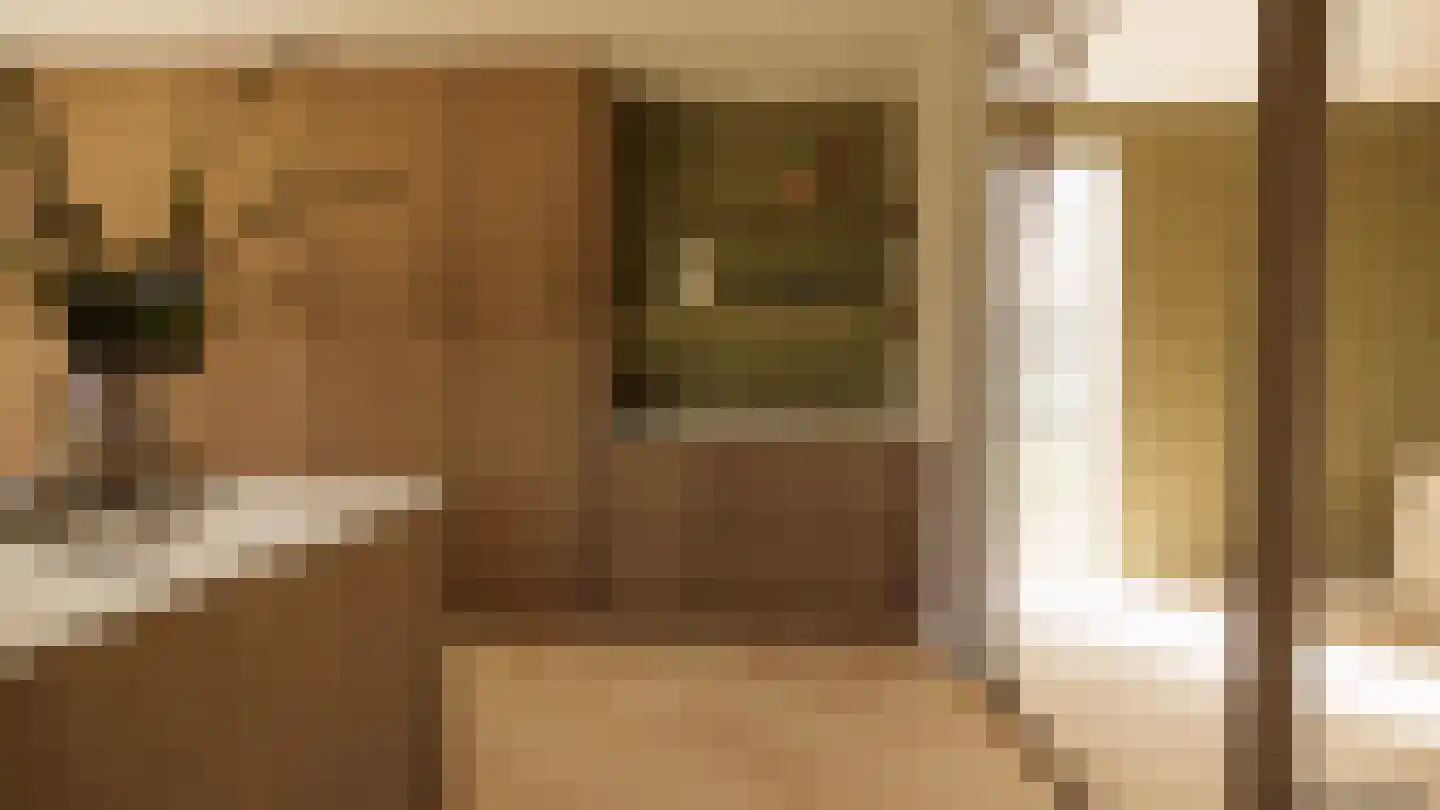 Gronausestraat 235 Losser thumbnail 57