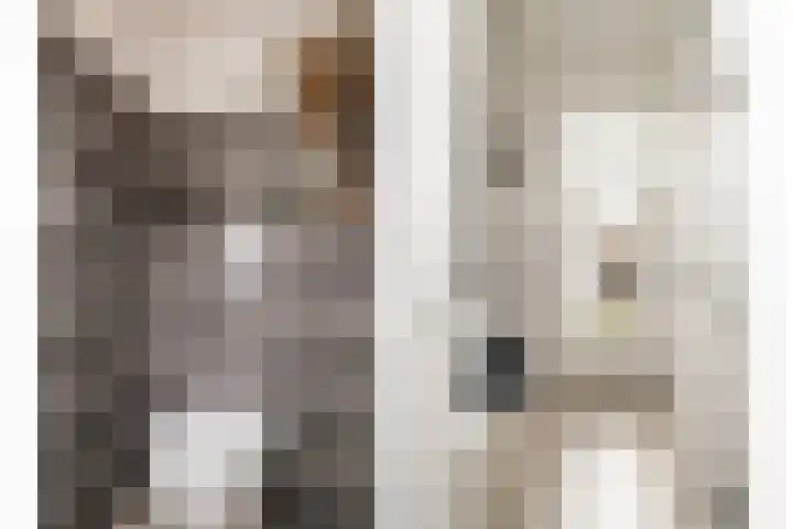 Gronausestraat 243 Losser thumbnail 16