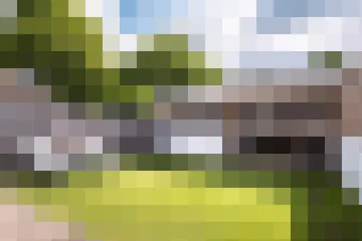 Gronausestraat 243 Losser thumbnail 28