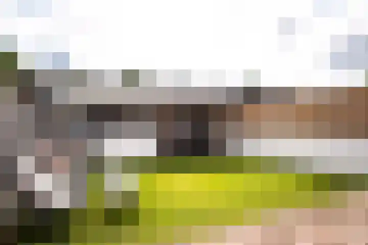 Gronausestraat 243 Losser thumbnail 31