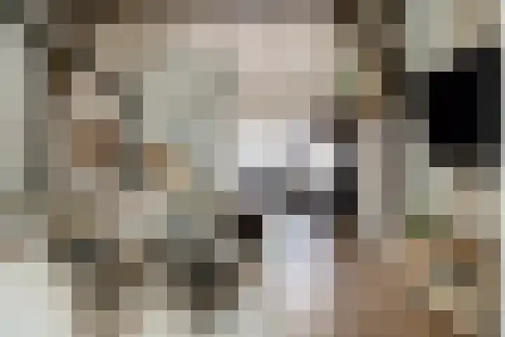 Gronausestraat 243 Losser thumbnail 9