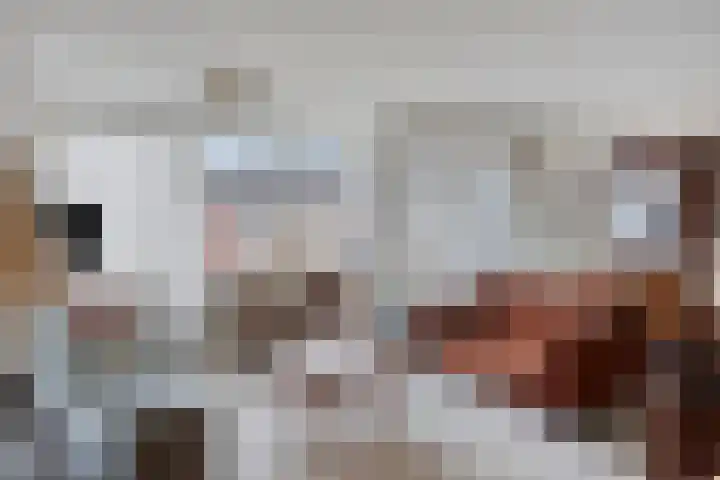 Gronausestraat 25 Losser thumbnail 16