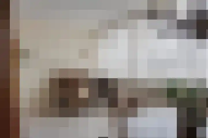 Gronausestraat 25 Losser thumbnail 20