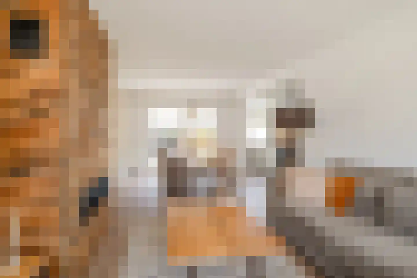 Gronausestraat 257 Losser thumbnail 13