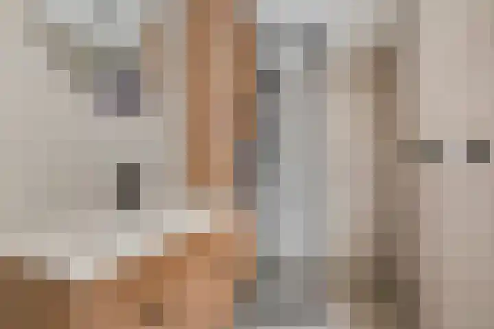 Gronausestraat 262 Losser thumbnail 24