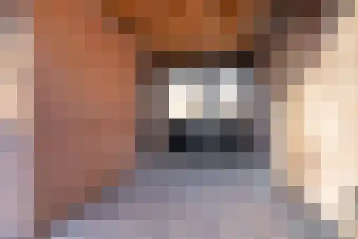 Gronausestraat 262 Losser thumbnail 29