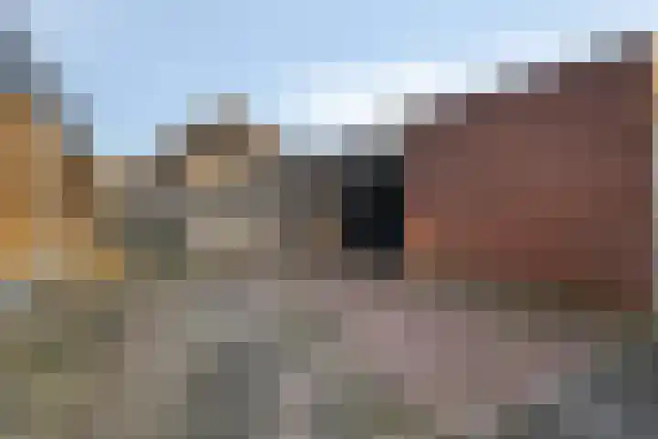 Gronausestraat 262 Losser thumbnail 30