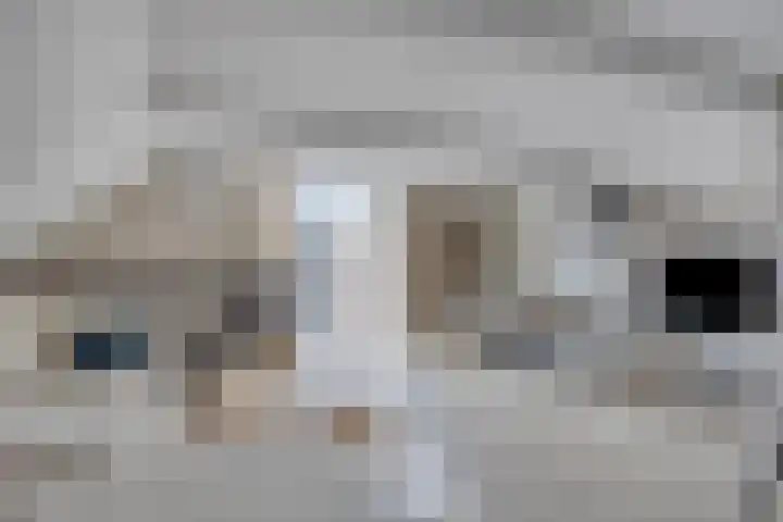 Gronausestraat 28 A Losser thumbnail 10