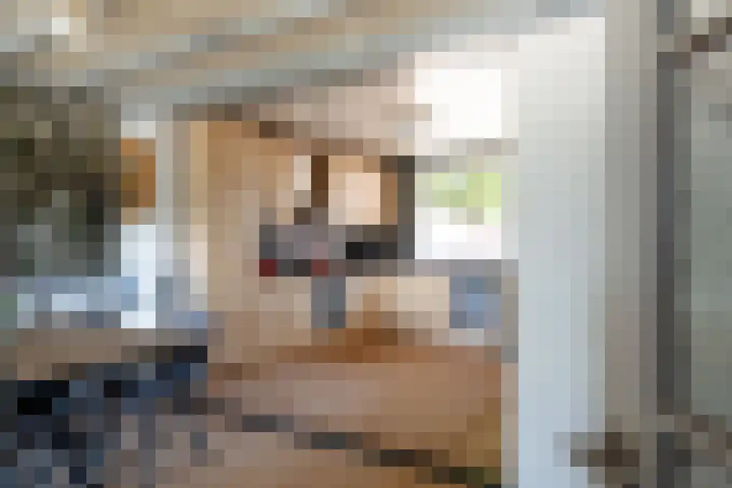 Gronausestraat 425 Glane thumbnail 11