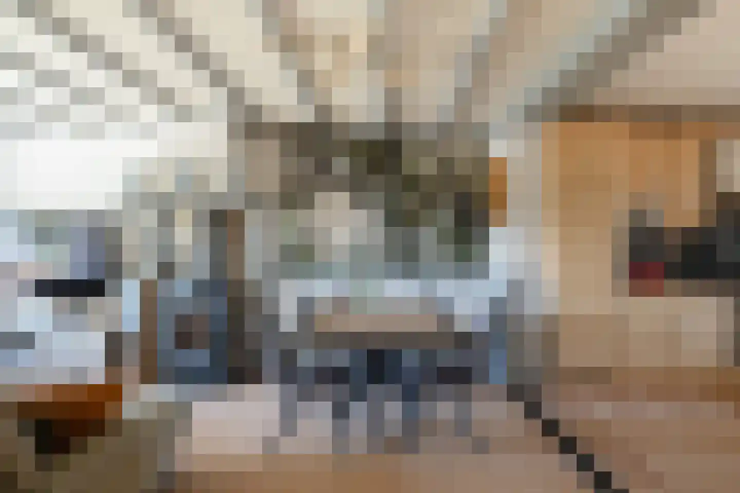 Gronausestraat 425 Glane thumbnail 12