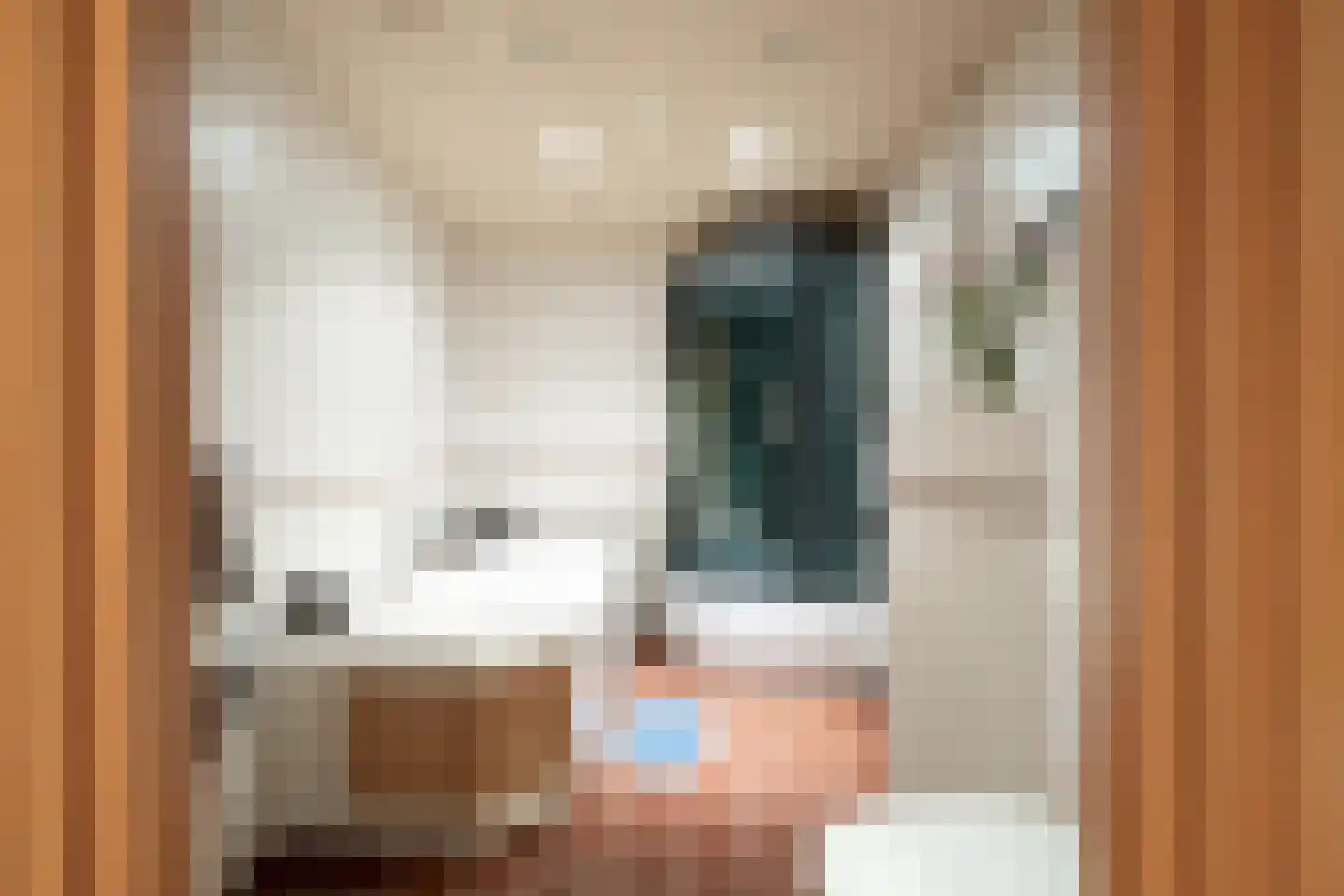 Gronausestraat 425 Glane thumbnail 16
