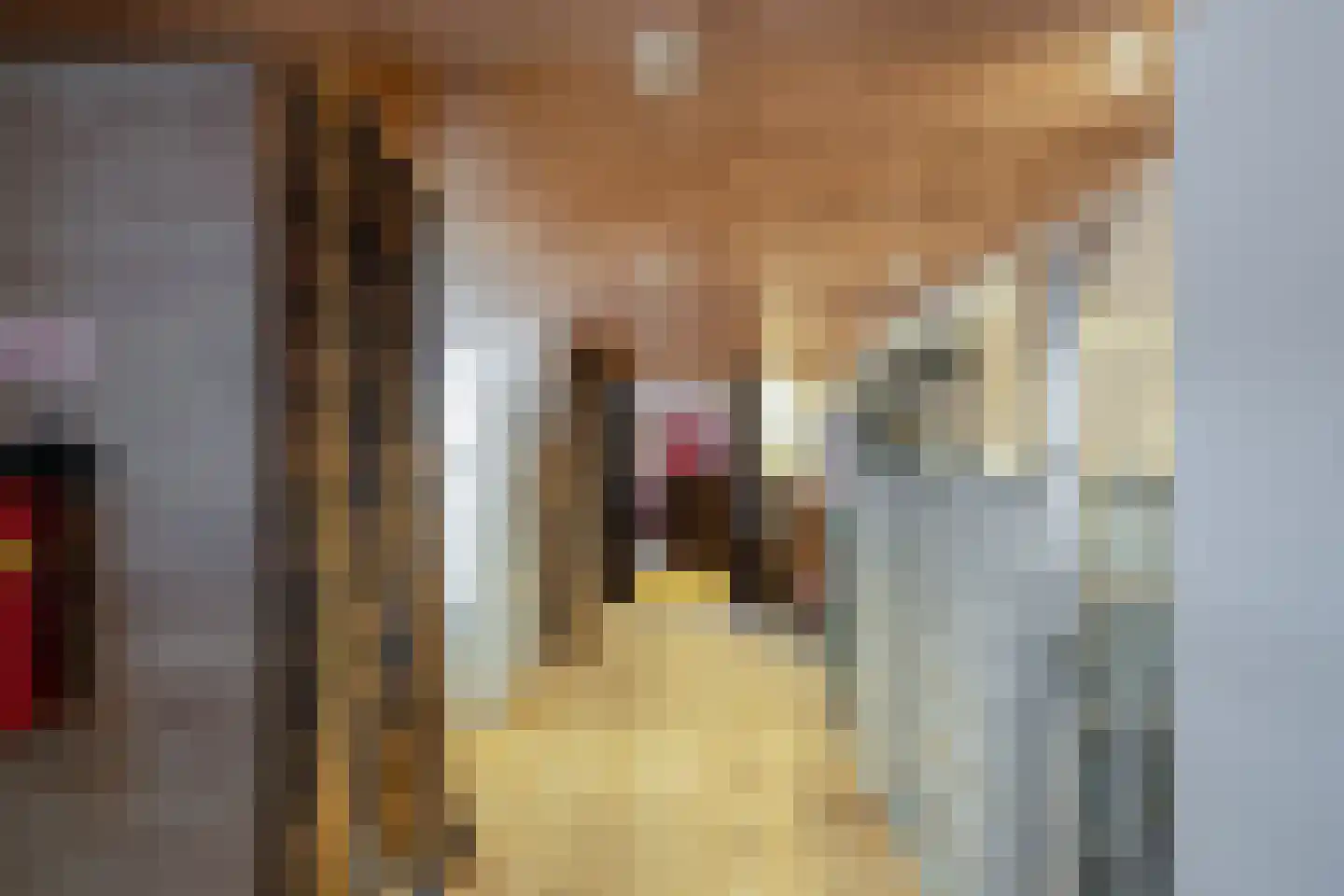 Gronausestraat 425 Glane thumbnail 19