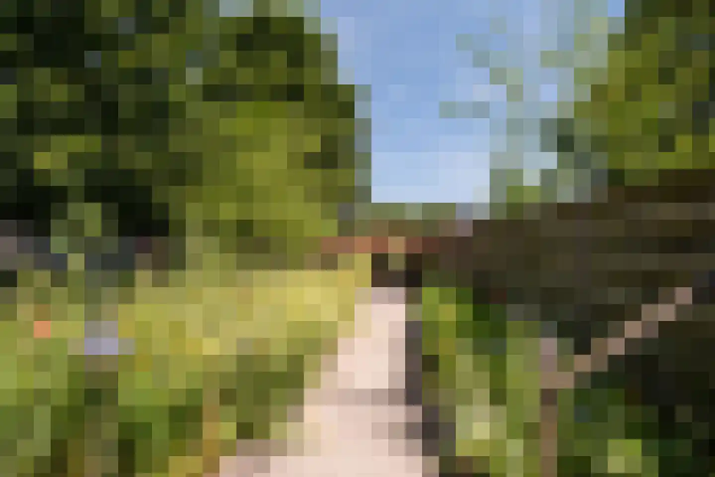 Gronausestraat 425 Glane thumbnail 31