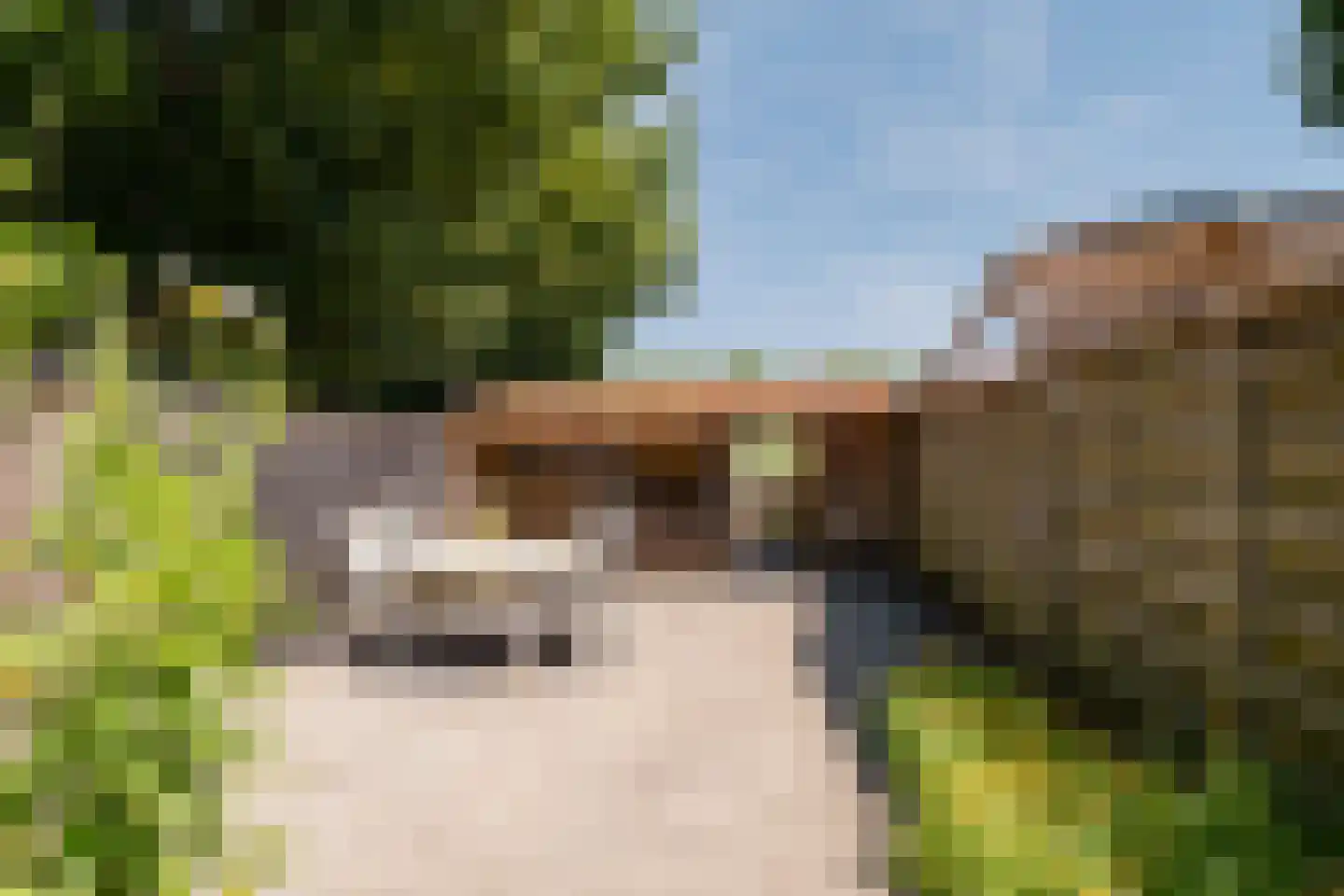 Gronausestraat 425 Glane thumbnail 32