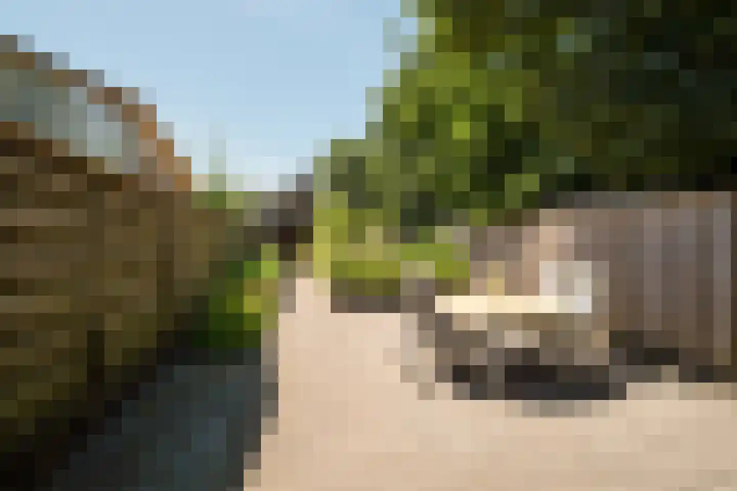 Gronausestraat 425 Glane thumbnail 36