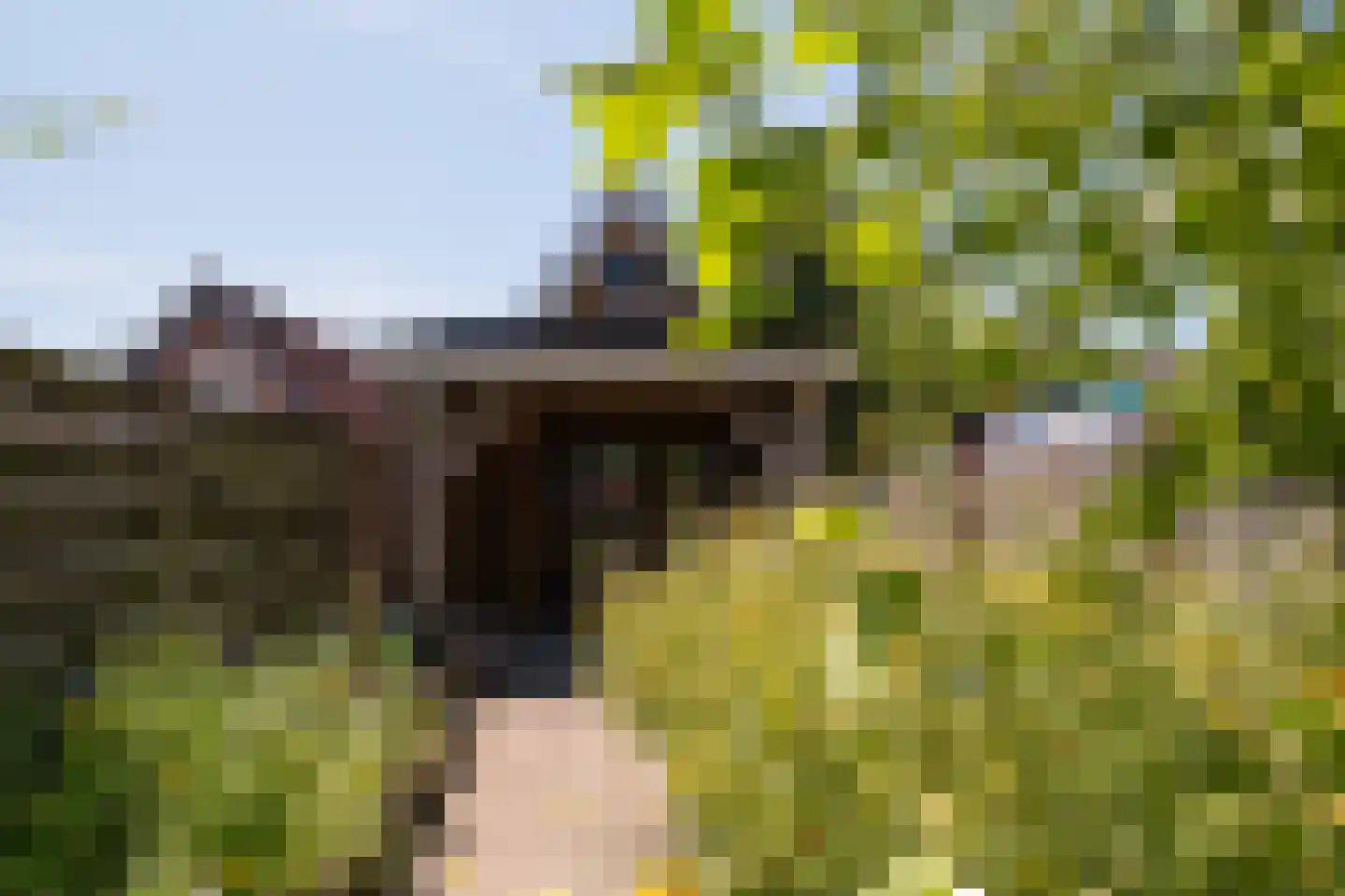 Gronausestraat 425 Glane thumbnail 37