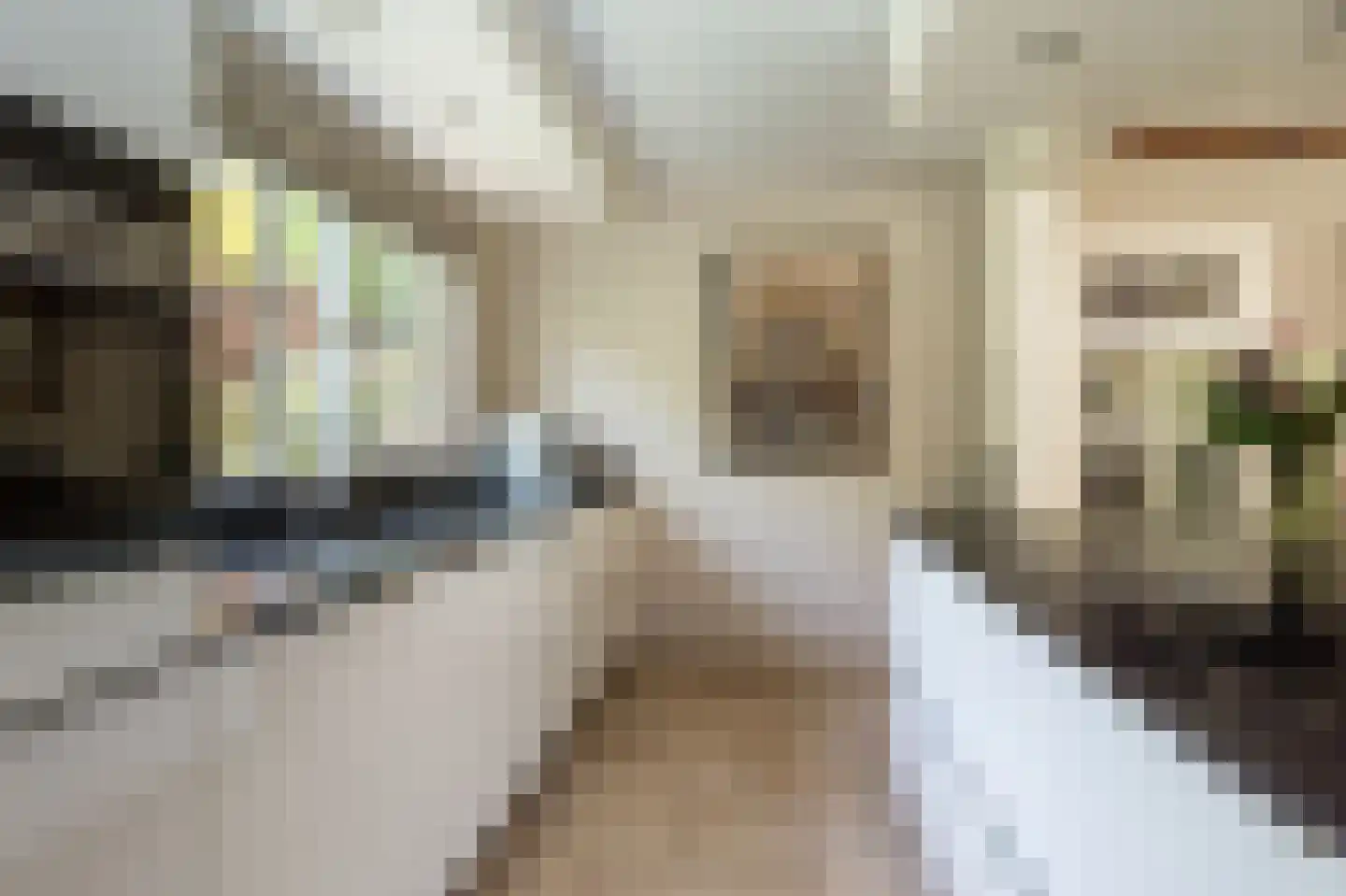 Gronausestraat 457 Glane thumbnail 10