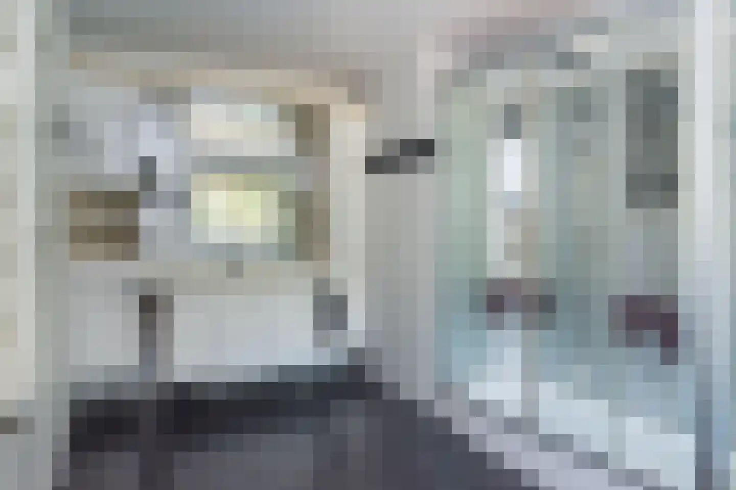 Gronausestraat 457 Glane thumbnail 22