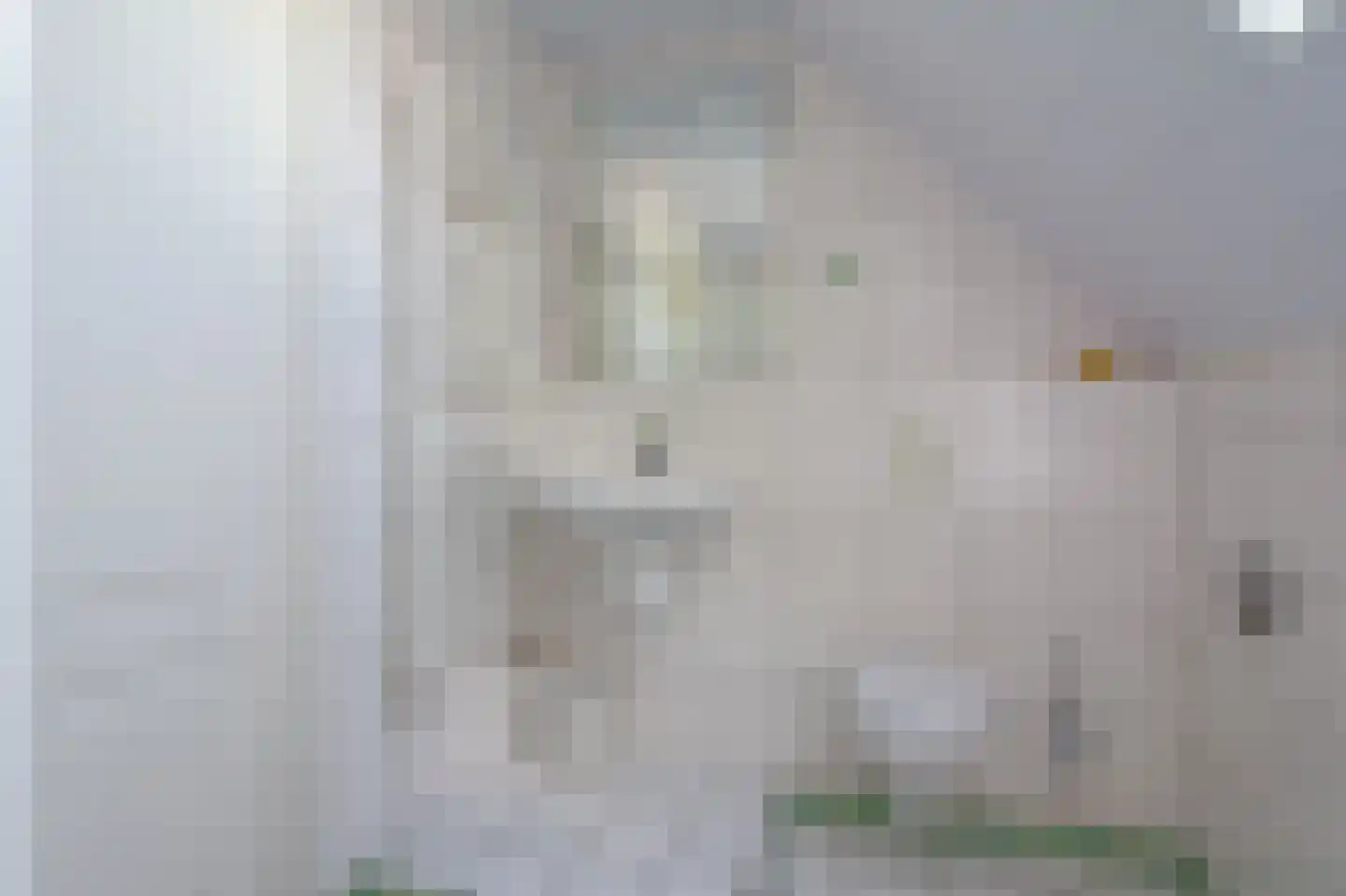 Gronausestraat 457 Glane thumbnail 30