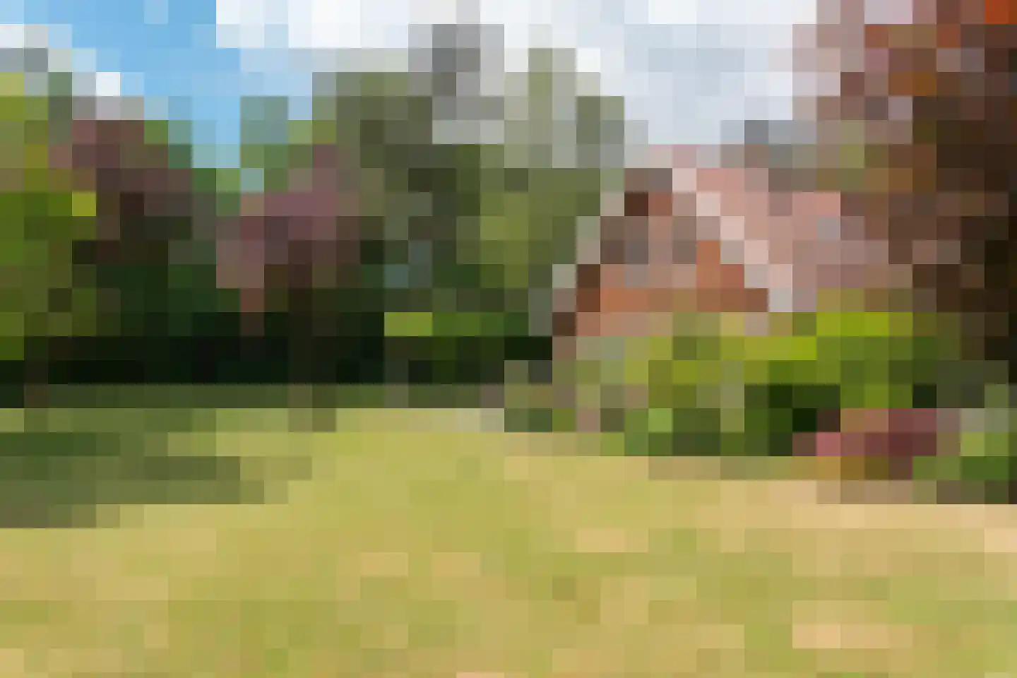 Gronausestraat 457 Glane thumbnail 42