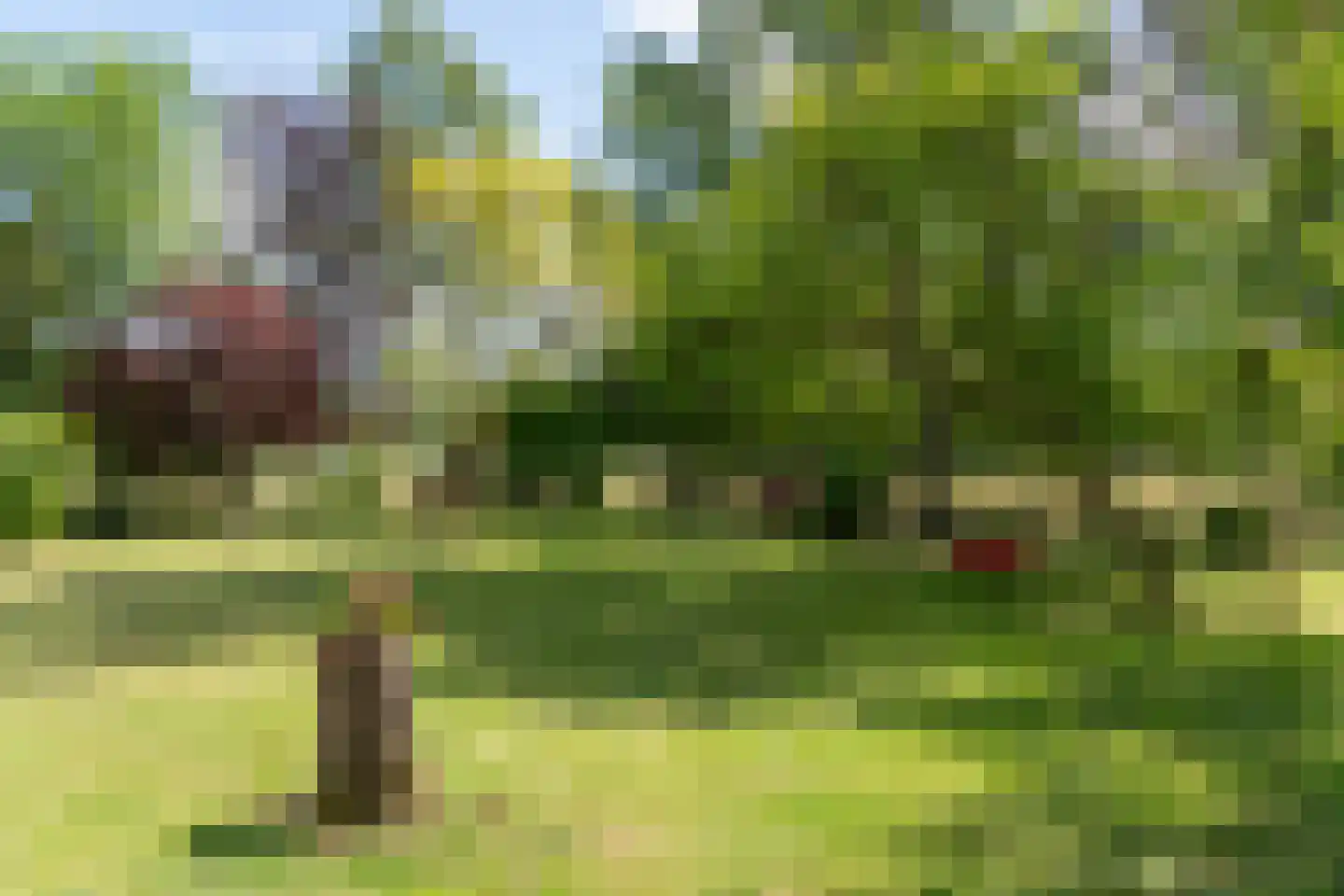 Gronausestraat 457 Glane thumbnail 45