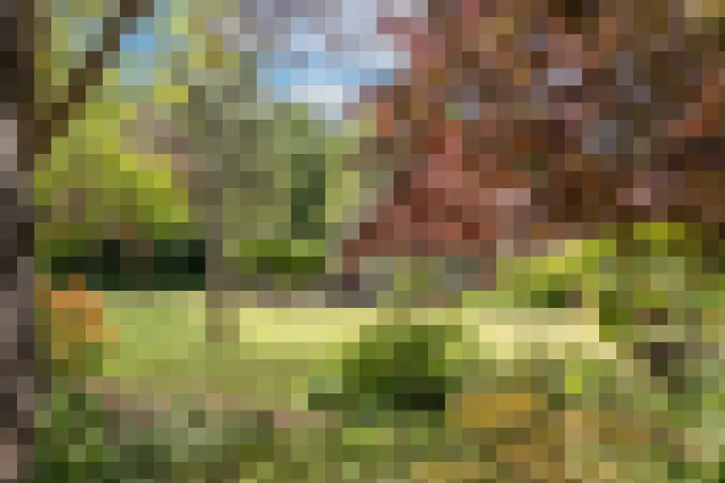 Gronausestraat 457 Glane thumbnail 46