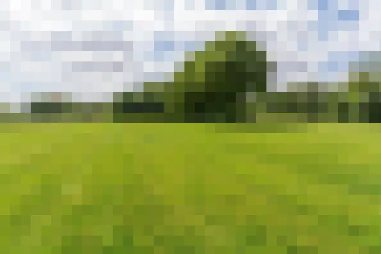 Gronausestraat 457 Glane thumbnail 47