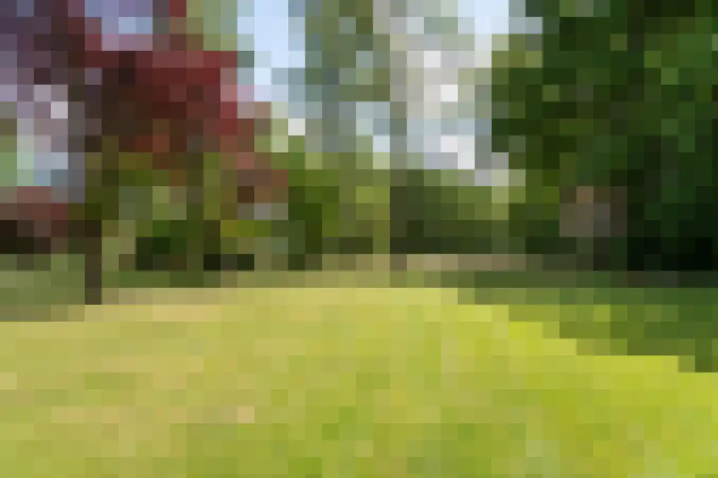 Gronausestraat 457 Glane thumbnail 5