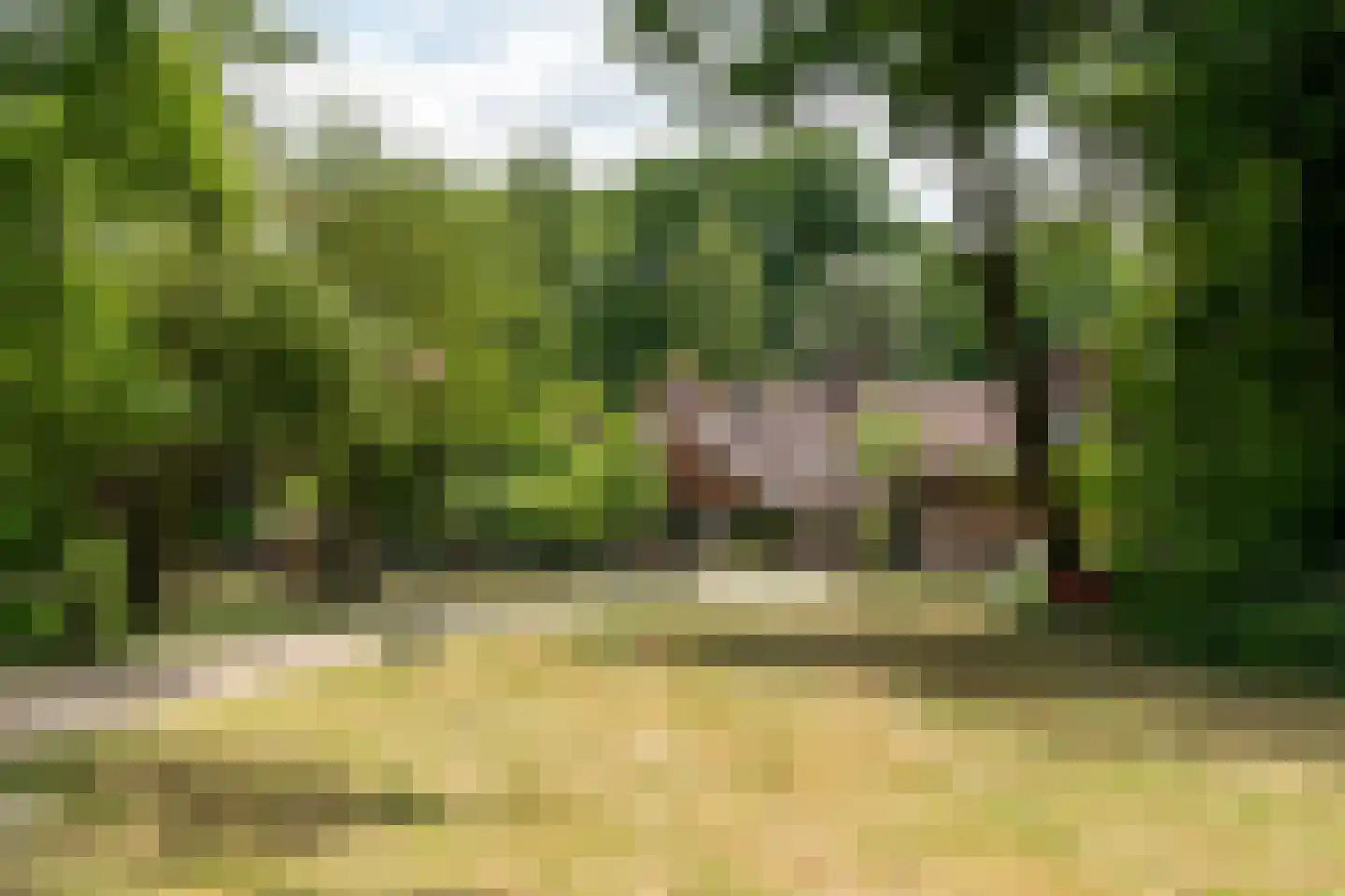 Gronausestraat 457 Glane thumbnail 6
