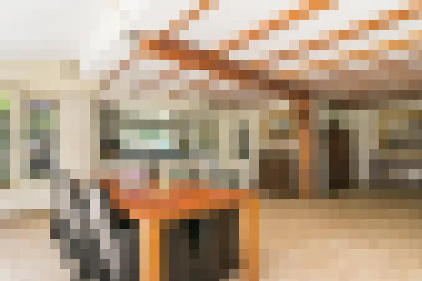 Gronausestraat 457 Glane thumbnail 8