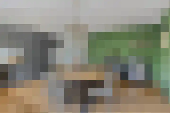 Gronausestraat 473 Glane thumbnail 37