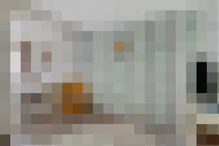 Gronausestraat 473 Glane thumbnail 41