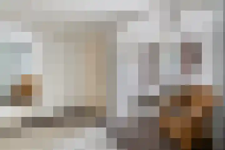 Gronausestraat 473 Glane thumbnail 42