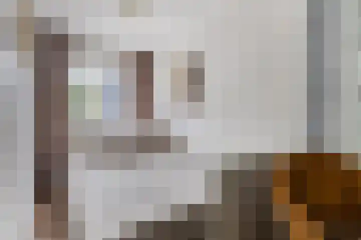 Gronausestraat 473 Glane thumbnail 43