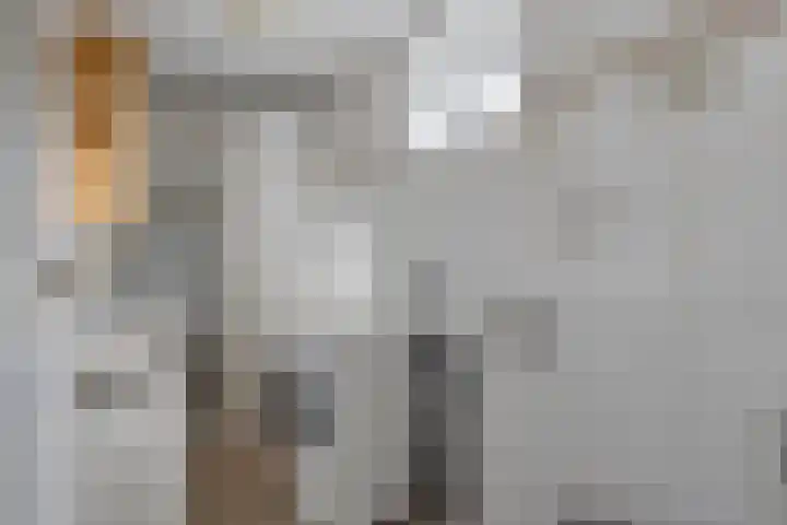 Gronausestraat 473 Glane thumbnail 45