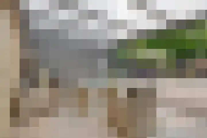 Gronausestraat 473 Glane thumbnail 62