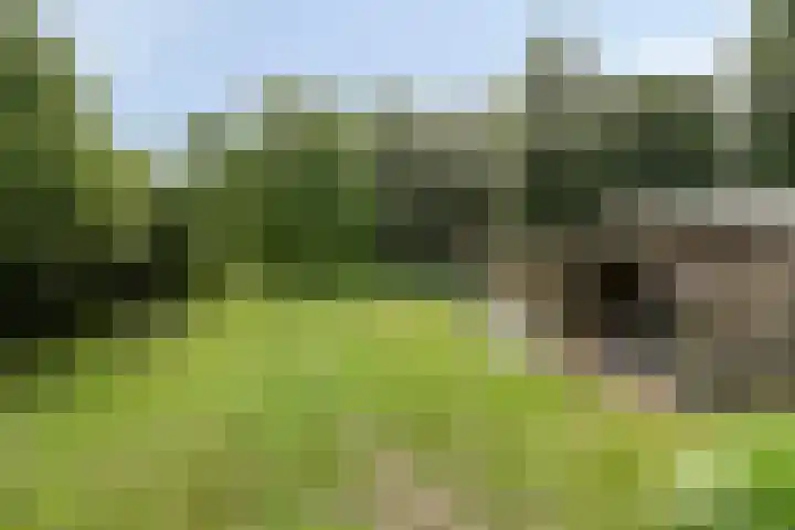 Gronausestraat 473 Glane thumbnail 68