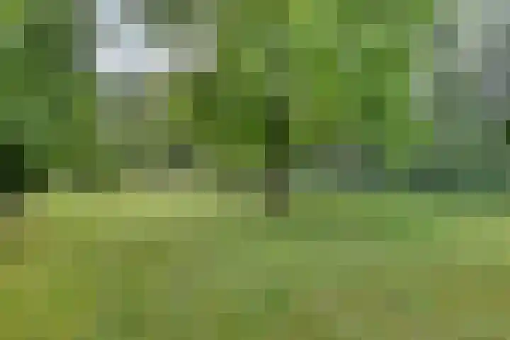 Gronausestraat 473 Glane thumbnail 69